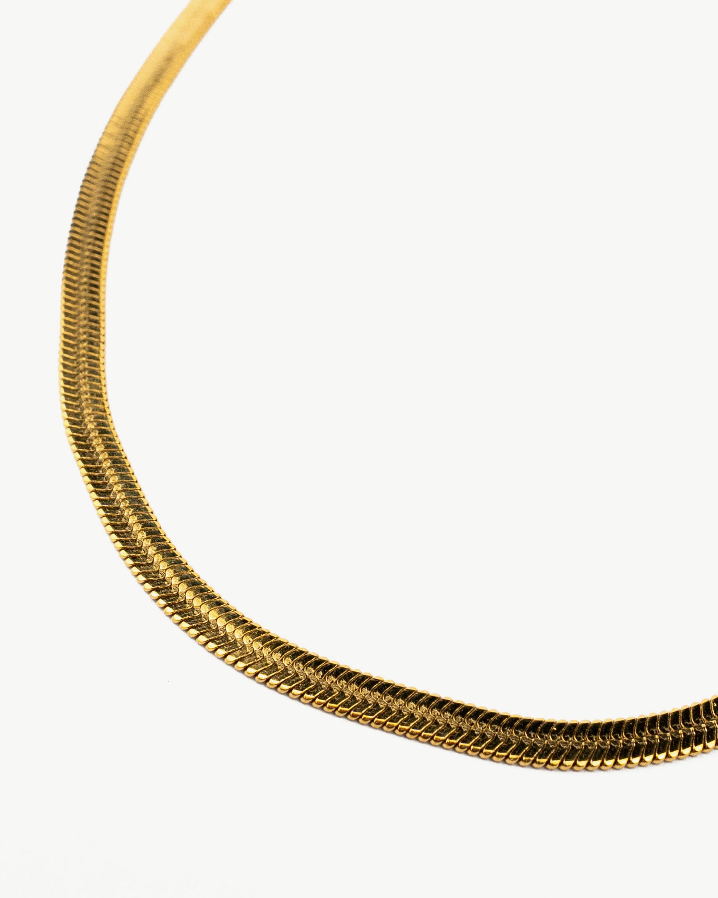 Flat Snake Chain Necklace